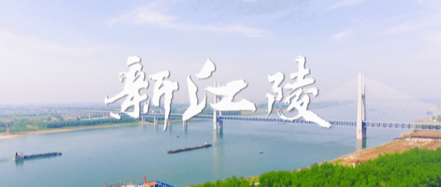 关于公开征集物业管理领域侵害群众利益问题线索的公告
