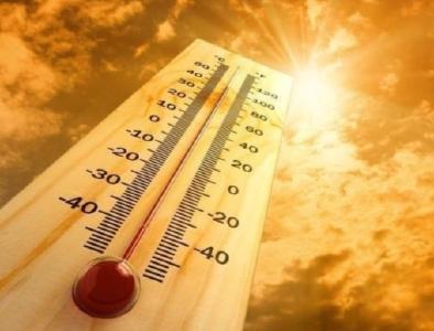 全球极端高温天数40年来几乎翻一番 