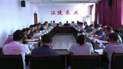 县人大常委会检查《湖北省乡村振兴促进条例》贯彻实施情况