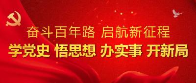 白马寺镇、县审计局等乡镇、县直部门学习贯彻“七一”重要讲话精神