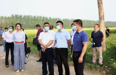 江陵县开展“千里江陵”水稻品种集中观摩活动  