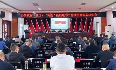 沙岗镇召开村（社区）“两委”换届选举工作动员暨业务培训会
