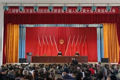 乡镇动态