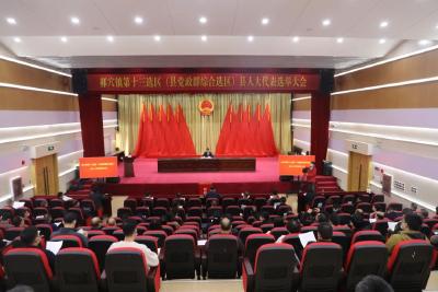 郝穴镇第十三选区（县党政群综合选区）举行县人大代表选举大会