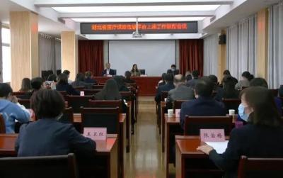 江陵县召开湖北省医疗保障信息平台  上线联席工作会议