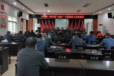 沙岗镇召开“两代表一委员” “一感一度一率一评价”平安建设工作座谈会