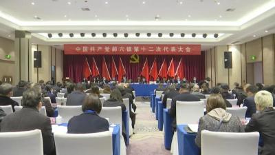 中国共产党郝穴镇  第十二次代表大会召开