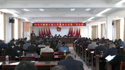 白马寺镇召开人代会
