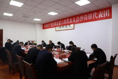 【聚焦党代会】全运宝参加各代表团分团审议 