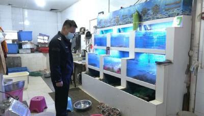 江陵县开展  野生动物保护执法检查