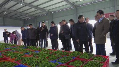监利市网市镇到江陵考察农村人居环境整治和发展壮大村级集体经济工作