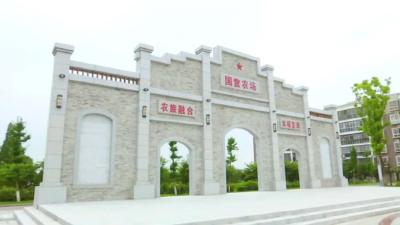 贯彻落实市党代会精神⑧丨六合垸管理区：以农塑场 以产兴农