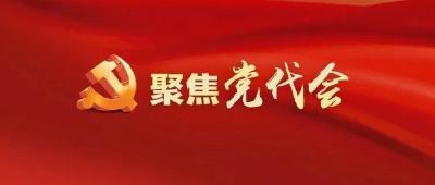 吴锦参加洪湖市代表团审议提出：对标“五区五中心” 打造区域融合发展新标杆 