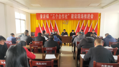 普济镇强力推进“三个合作社”建设