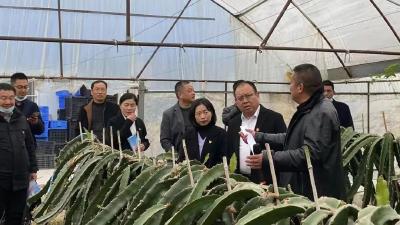 马家寨乡组织村支部书记外出考察学习“三个合作社”