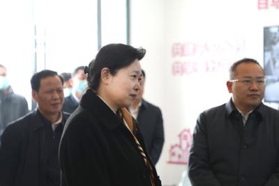 王艳玲强调：深入学习贯彻党的十九届六中全会精神 建设更高水平平安湖北