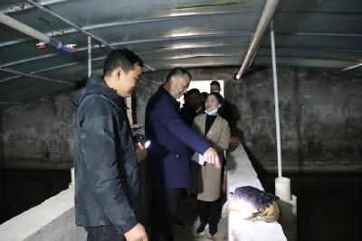 全运宝调研秦市乡乡村振兴工作