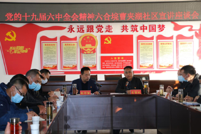 肖吉武到六合垸管理区宣讲党的十九届六中全会精神
