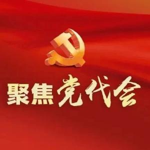 省换届风气第五巡查组组长饶建国参加江陵县代表团审议 