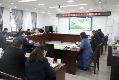 江陵县召开“楚菜城”项目初步设计方案汇报会