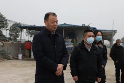 务必抢抓！全面推进！全运宝调研我县这项工作时要求......