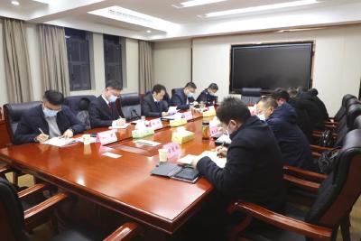 县政府党组召开党史学习教育专题民主生活会