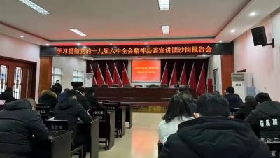 学习贯彻党的十九届六中全会精神县委宣讲团走进沙岗镇