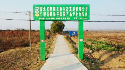 三湖楚果庄园：电商直播造就黄桃产业新农人 