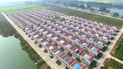 六合垸管理区  积极推进“三个合作社”建设