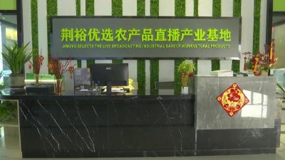 踔厉奋发 精彩开篇 | 湖北秒捷汇：电商平台一年销售农副产品1.2亿元 