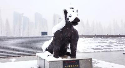 在江陵，雪下的时候，保畅通有他们