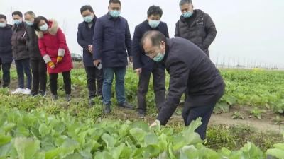 农业农村部下沉一线包省包片夺夏粮小麦丰收调研工作组督导江陵农业生产工作
