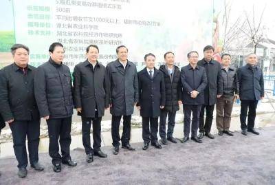 刘晓洪调研江陵县农业企业