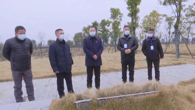王礼东检查督导春节文明安全祭祀工作 
