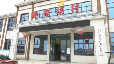 秦市乡：4206户村民“带地入社”