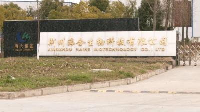 踔厉奋发 精彩开篇 | 海合生物：扩规提能加速跑 转型升级增效益 