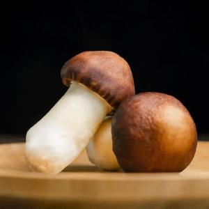 听三湖的肖师傅说，在江陵种赤松茸，“三招”就够哒！
