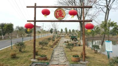 【这里是江陵】马家寨乡文新村：香浓汤泡饭 绵绵渔村情