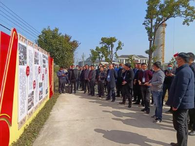 荆州市巩固脱贫攻坚成果同乡村振兴有效衔接主题培训班来江陵观摩