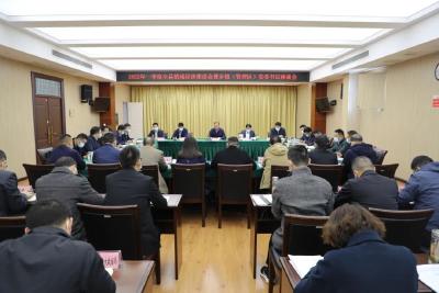 全运宝：坚定不移发展壮大镇域经济