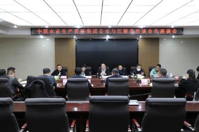 中国农业生产资料集团公司来江陵考察