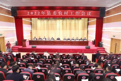 2022年县委农村工作会议指出：奋力做好“三农”工作 全面推进乡村振兴