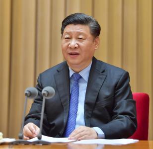 习近平对东航客机坠毁作出重要指示