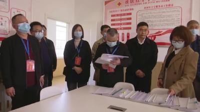 段晏昌视察我县“全国未成年保护示范县”创建工作