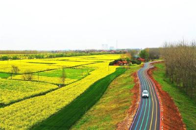 【这里是江陵】赏花、看怀旧电影、穿行彩虹公路……江陵“花式”乡村游，邀您来打卡