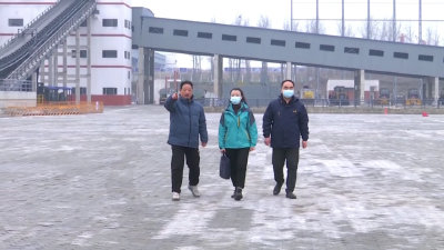 全国人大代表李霞：为家乡新能源新材料产业鼓与呼