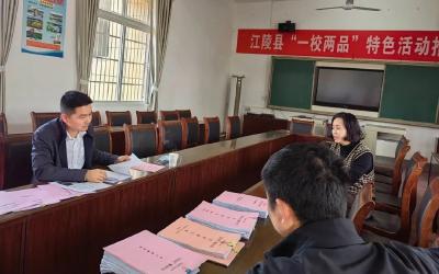 杨锋调研指导“双优化”整治百日攻坚工作