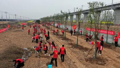 美丽江陵添新绿 县“四大家”领导参加义务植树活动 