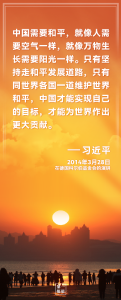 为何要坚持走和平发展道路，习近平这样阐述