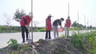 县委宣传部、秦市乡联合开展  “植绿护绿”义务植树志愿服务活动